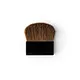 compact makeup brush